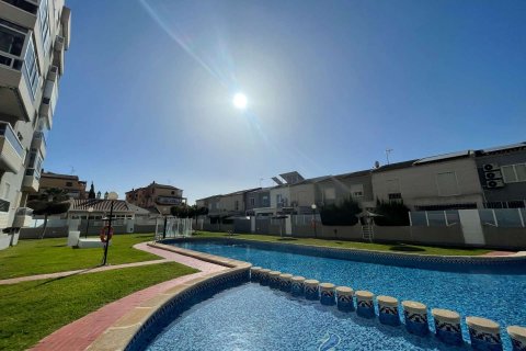 Продажа квартиры в Торревьеха, Аликанте, Испания 3 спальни, 117м2 №173646 - фото 27