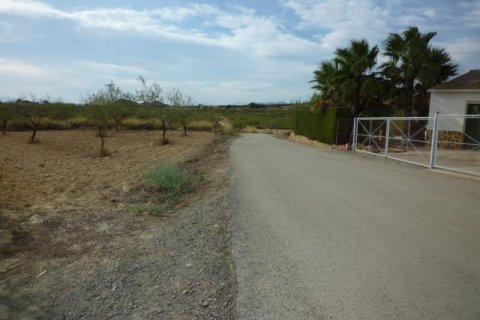 Сasa en venta en Orihuela, Alicante, España No. 184215 - foto 5
