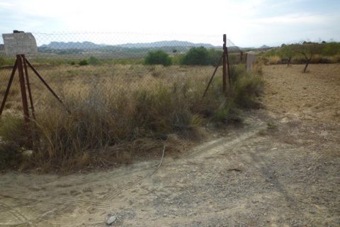 Сasa en venta en Orihuela, Alicante, España No. 184215 - foto 7