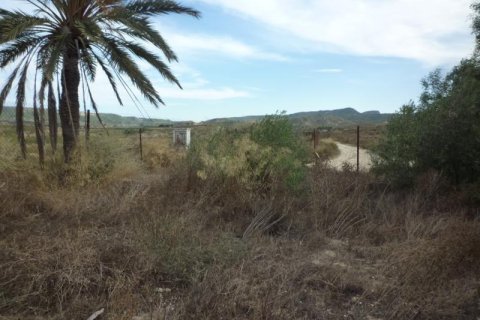 Сasa en venta en Orihuela, Alicante, España No. 184215 - foto 21