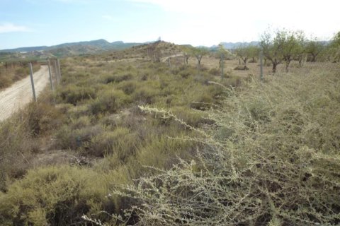 Сasa en venta en Orihuela, Alicante, España No. 184215 - foto 17