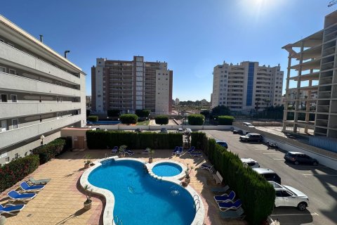 Apartment in Guardamar del Segura, Alicante, Spain 2 bedrooms, 75 sq.m. No. 195179