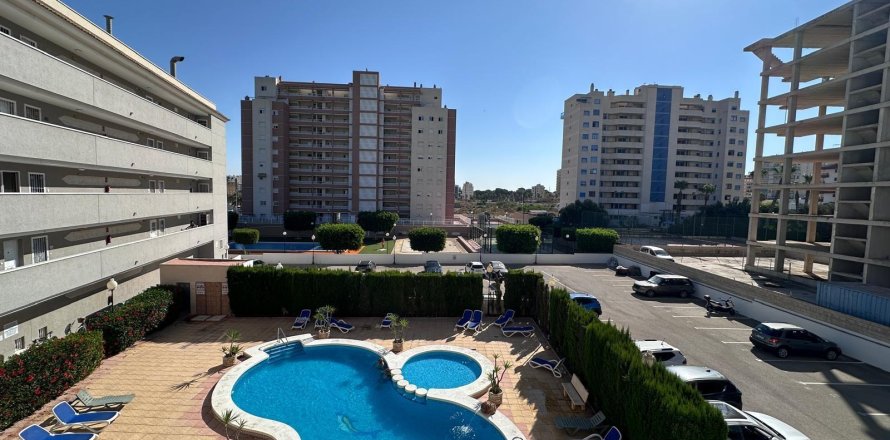 Apartment in Guardamar del Segura, Alicante, Spain 2 bedrooms, 75 sq.m. No. 195179