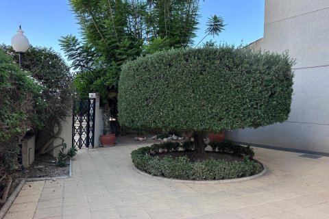 Apartment for sale in Guardamar del Segura, Alicante, Spain 2 bedrooms, 75 sq.m. No. 195179 - photo 5