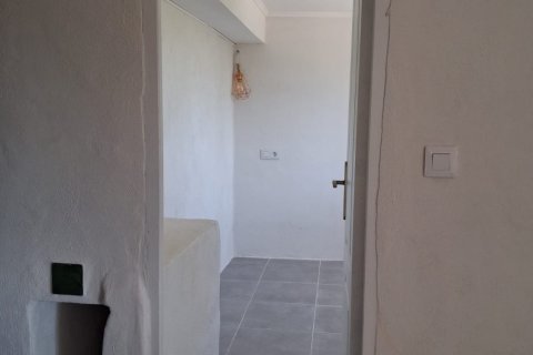 Land plot for sale in Tortosa, Tarragona, Spain 10179 sq.m. No. 195766 - photo 27