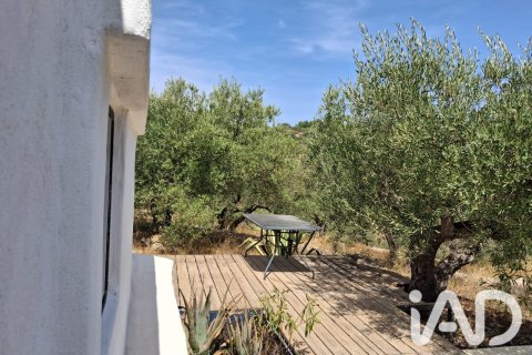 Land plot for sale in Tortosa, Tarragona, Spain 10179 sq.m. No. 195766 - photo 29