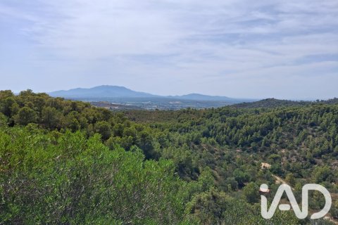 Land plot for sale in Tortosa, Tarragona, Spain 10179 sq.m. No. 195766 - photo 16