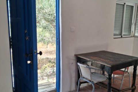Land plot for sale in Tortosa, Tarragona, Spain 10179 sq.m. No. 195766 - photo 4