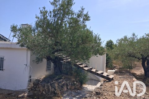 Land plot for sale in Tortosa, Tarragona, Spain 10179 sq.m. No. 195766 - photo 22