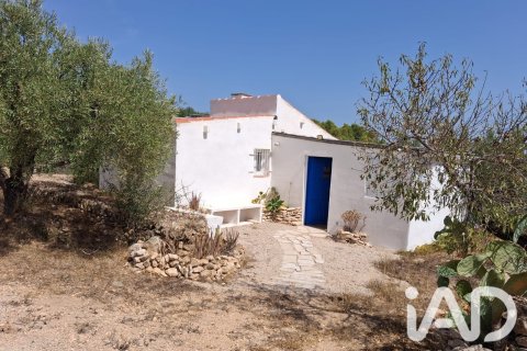 Land plot in Tortosa, Tarragona, Spain 10179 sq.m. No. 195766