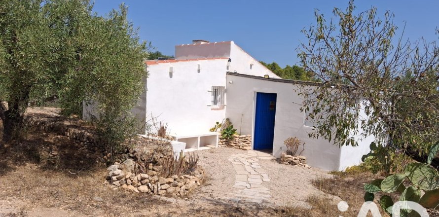 Land plot in Tortosa, Tarragona, Spain 10179 sq.m. No. 195766