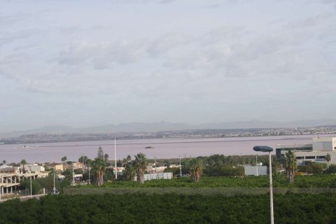 House for sale in Torrevieja, Alicante, Spain 2 bedrooms, 225 sq.m. No. 175291 - photo 6