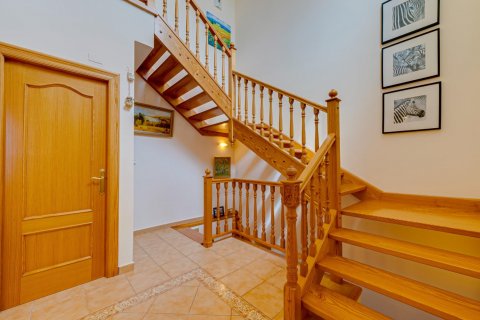 Bungalow for sale Los Altos, Alicante, Spain 5 bedrooms, 350 sq.m. No. 116975 - photo 17