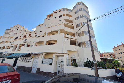 Wohnung in Nueva Torrevieja, Alicante, Spanien 39.99 m2 Nr. 182856