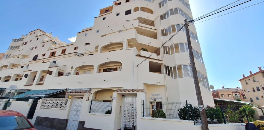 Apartamento en Nueva Torrevieja, Alicante, España 39.99 m2 No. 182856