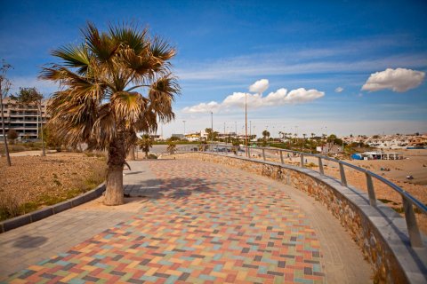 Lägenhet till salu i Torre de la Horadada, Alicante, Spanien 3 sovrum, 81 kvm. Nr. 147040 - foto 24