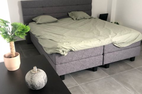 Villa in vendita a Pinoso, Alicante, Spagna 5 camere da letto, 247 mq. N° 147038 - foto 9