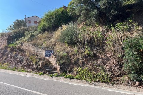 Tomt till salu i Cardona, Barcelona, Spanien Nr. 191263 - foto 17