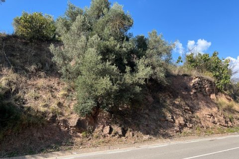 Tomt till salu i Cardona, Barcelona, Spanien Nr. 191263 - foto 16