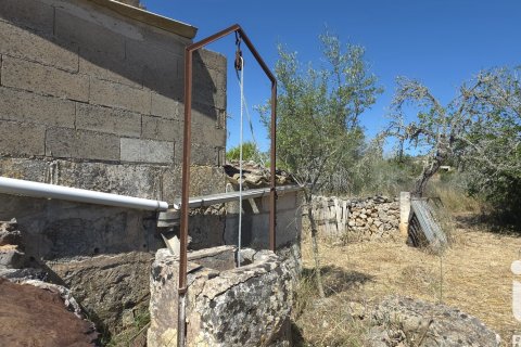 Parcela en venta en Santa Margalida, Mallorca, España 6160 m2 No. 184668 - foto 11