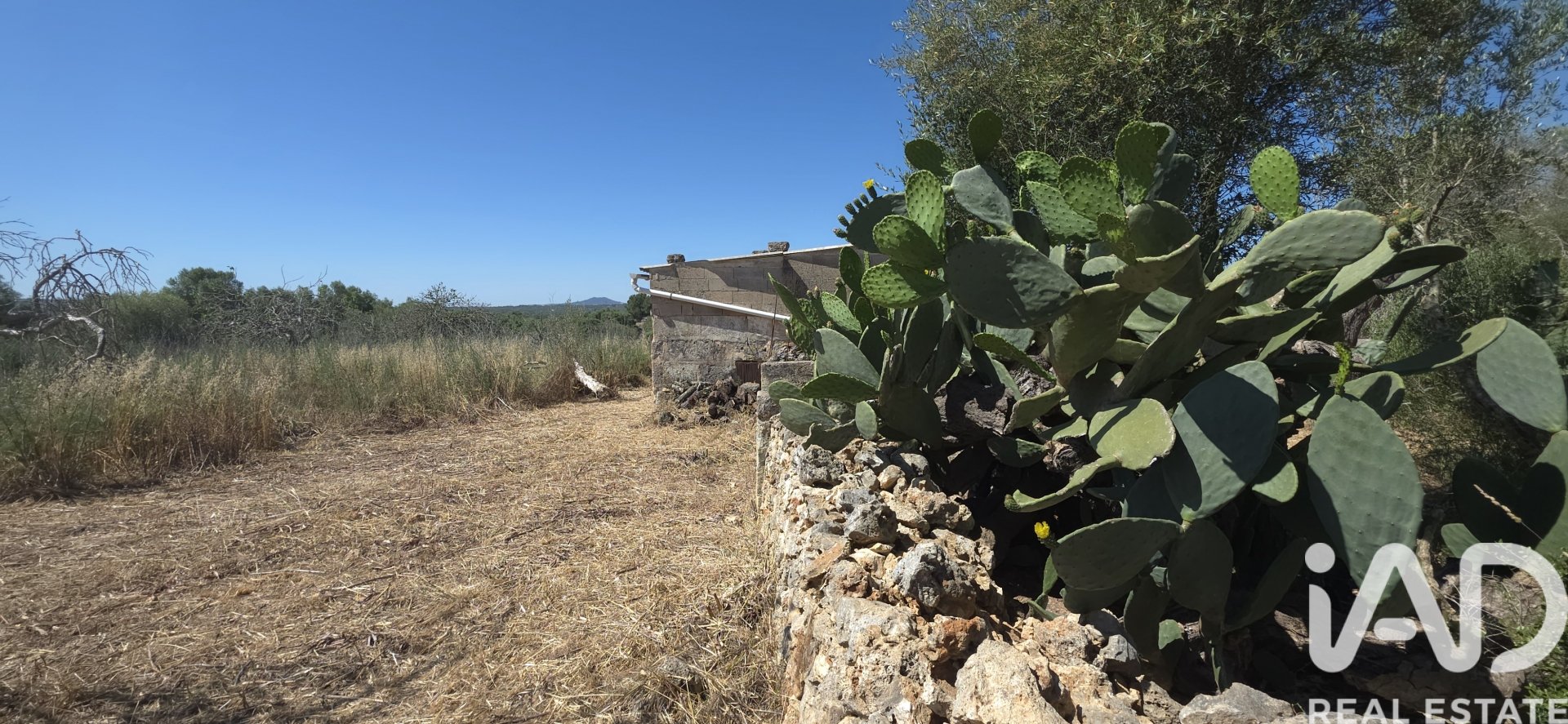 Land plot à Santa Margalida, Mallorca, Espagne 6160 m2 No. 184668