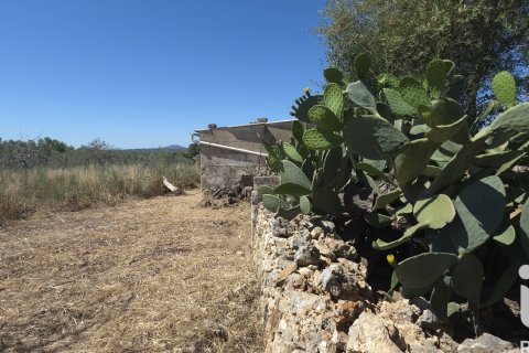 Parcela en venta en Santa Margalida, Mallorca, España 6160 m2 No. 184668 - foto 6