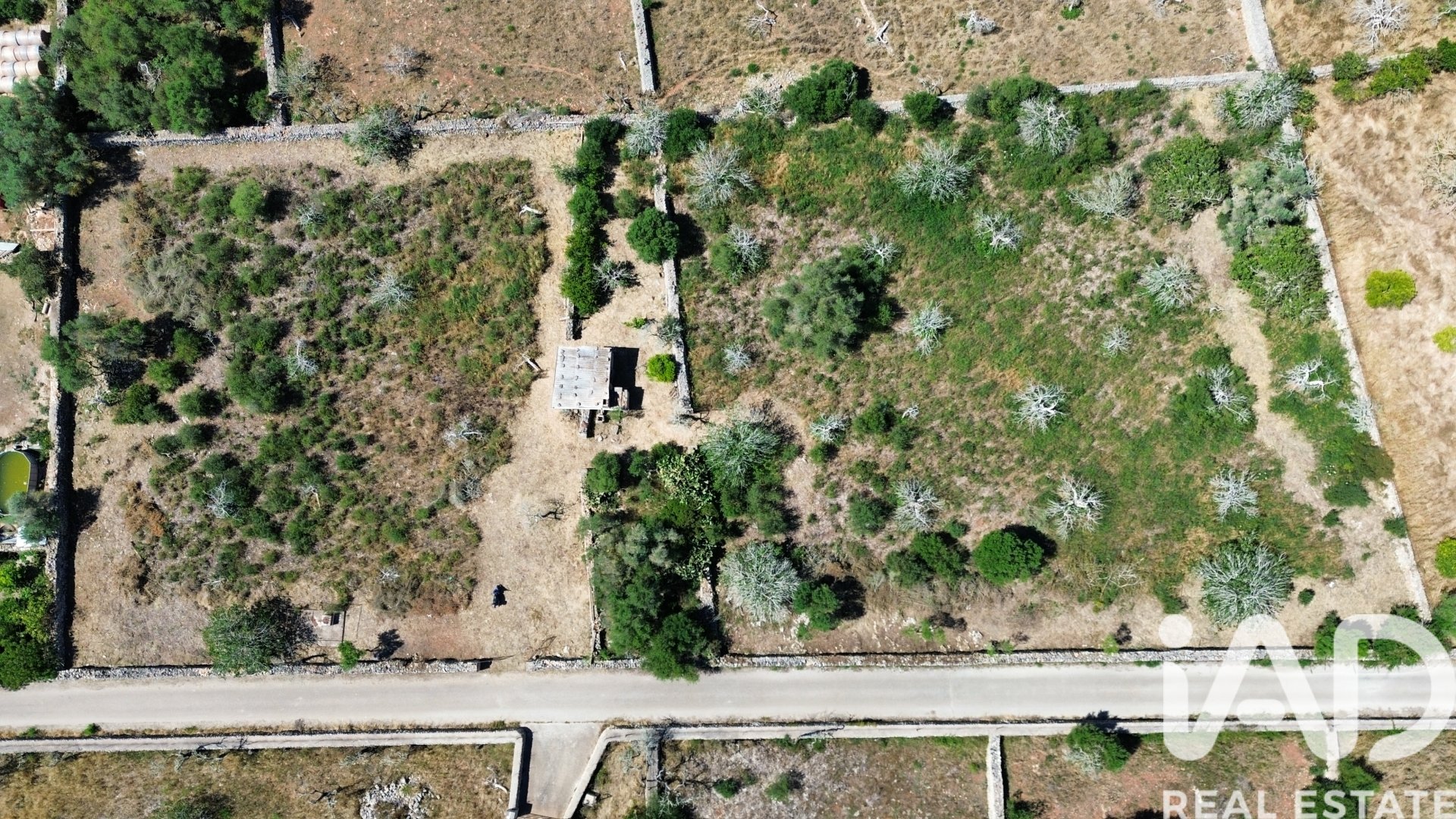 Land plot à Santa Margalida, Mallorca, Espagne 6160 m2 No. 184668