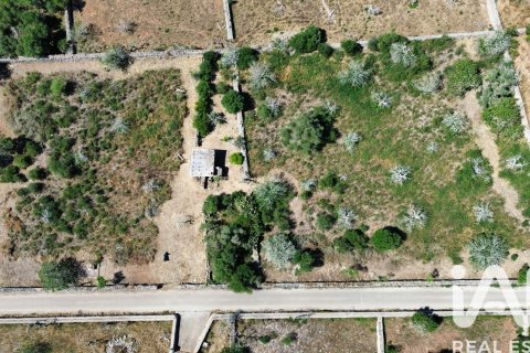 Parcela en venta en Santa Margalida, Mallorca, España 6160 m2 No. 184668 - foto 2