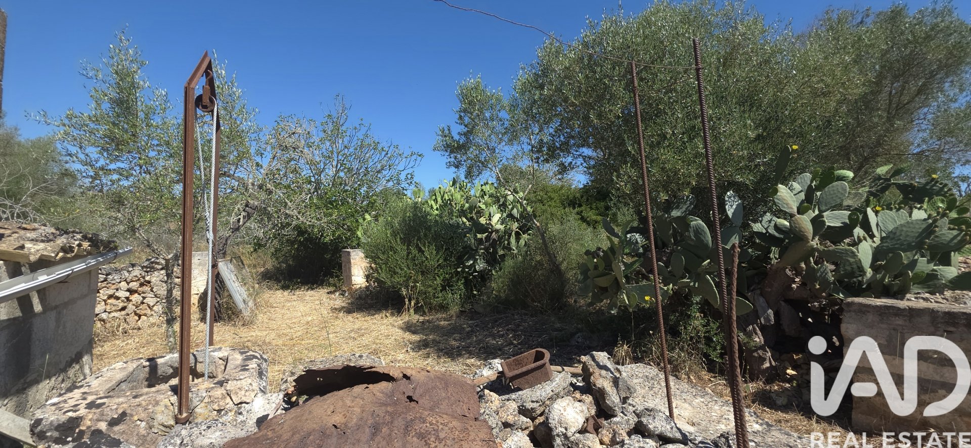 Land plot à Santa Margalida, Mallorca, Espagne 6160 m2 No. 184668