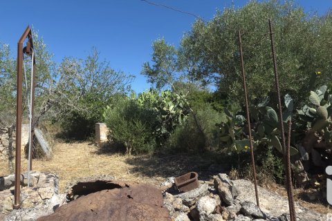 Parcela en venta en Santa Margalida, Mallorca, España 6160 m2 No. 184668 - foto 12