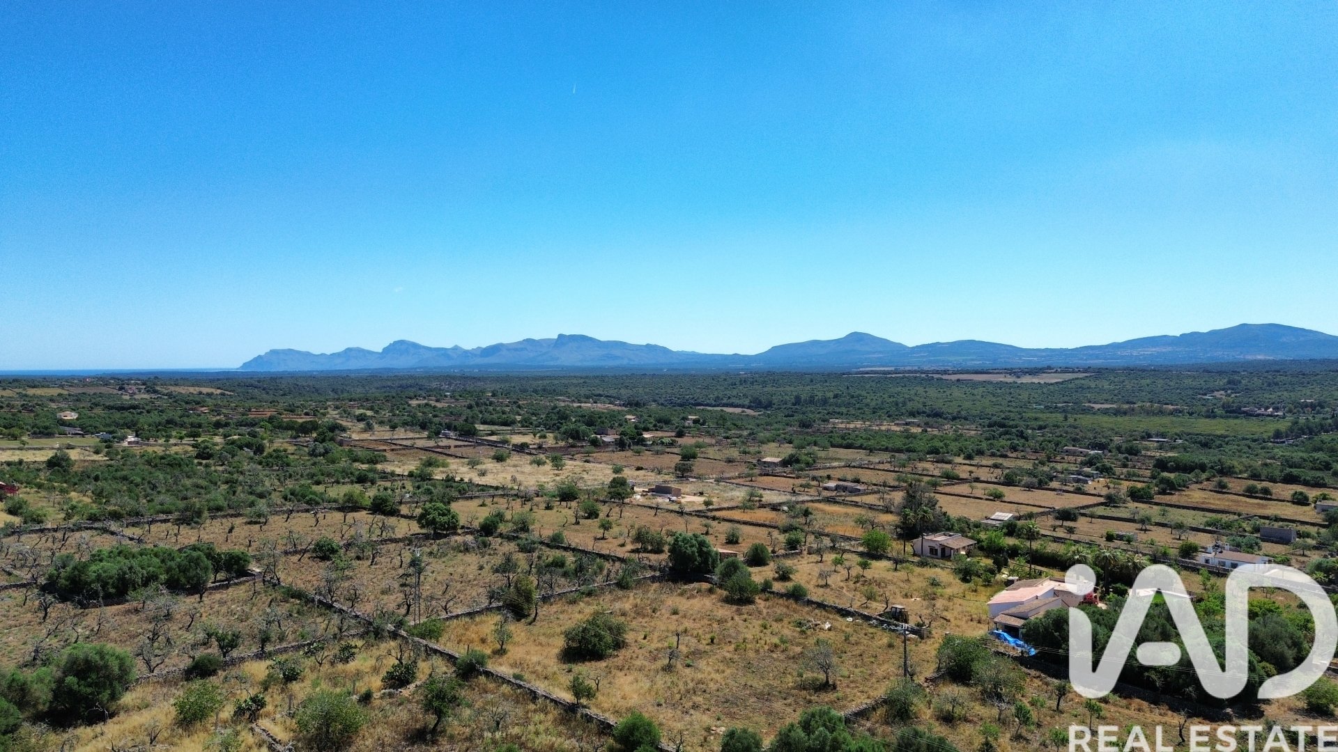 Land plot à Santa Margalida, Mallorca, Espagne 6160 m2 No. 184668