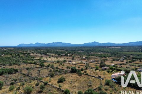 Parcela en venta en Santa Margalida, Mallorca, España 6160 m2 No. 184668 - foto 30