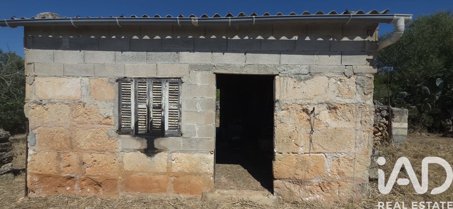 Land plot à Santa Margalida, Mallorca, Espagne 6160 m2 No. 184668