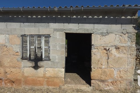 Parcela en venta en Santa Margalida, Mallorca, España 6160 m2 No. 184668 - foto 14