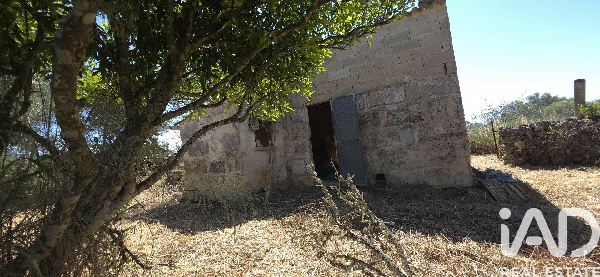 Land plot à Santa Margalida, Mallorca, Espagne 6160 m2 No. 184668