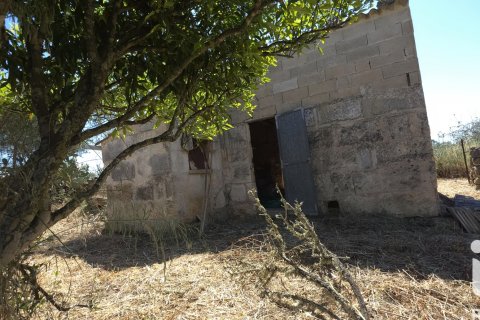 Parcela en venta en Santa Margalida, Mallorca, España 6160 m2 No. 184668 - foto 13