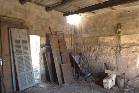 Parcela en venta en Santa Margalida, Mallorca, España 6160 m2 No. 184668 - foto 16