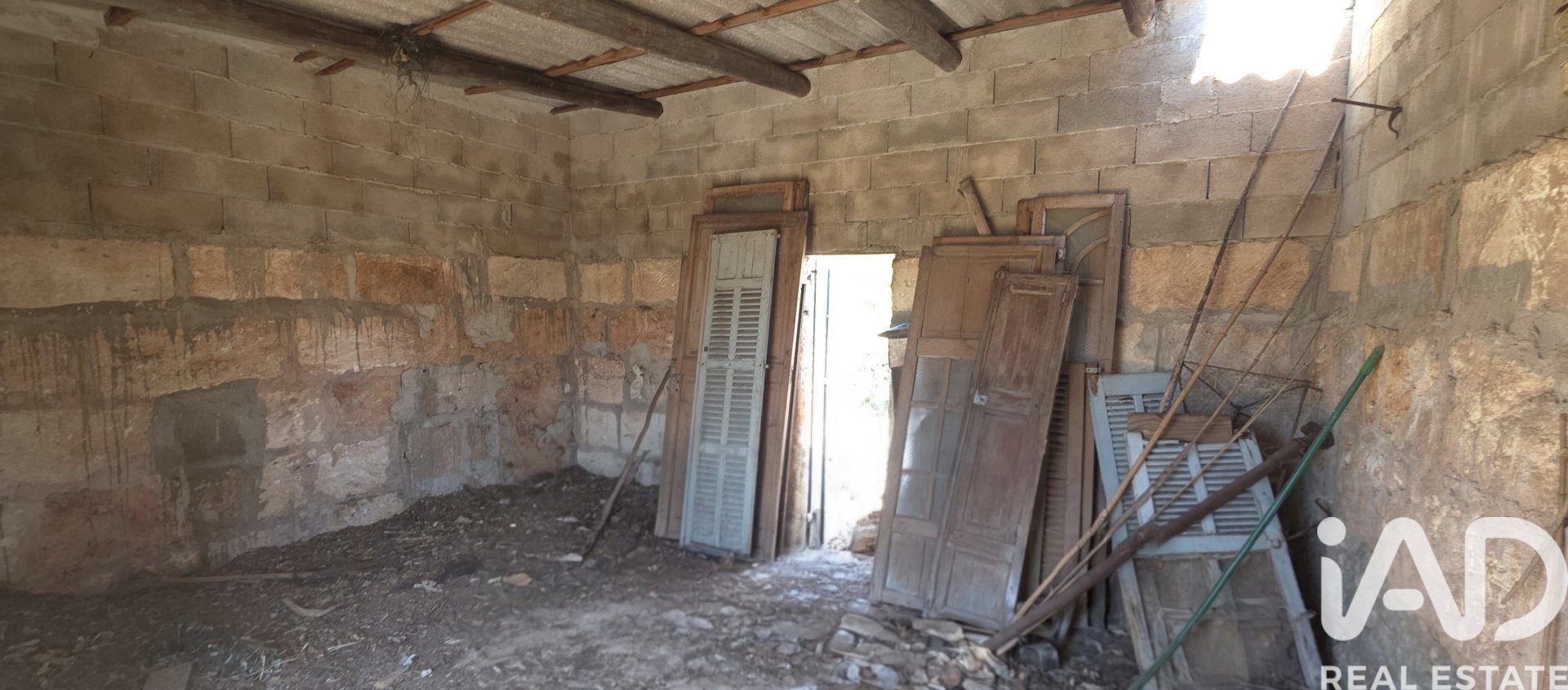Land plot à Santa Margalida, Mallorca, Espagne 6160 m2 No. 184668