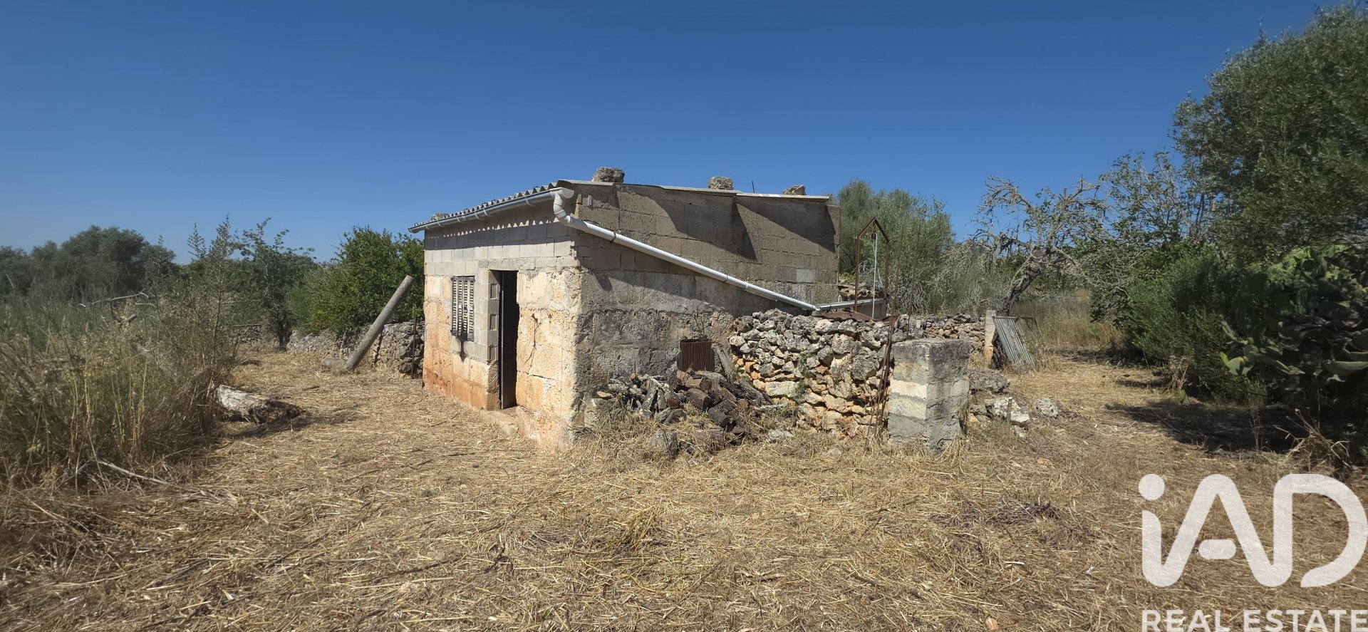 Land plot à Santa Margalida, Mallorca, Espagne 6160 m2 No. 184668