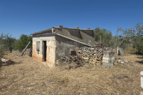 Parcela en venta en Santa Margalida, Mallorca, España 6160 m2 No. 184668 - foto 8