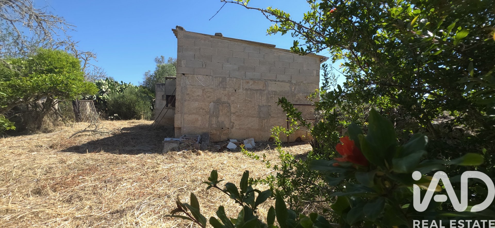 Land plot à Santa Margalida, Mallorca, Espagne 6160 m2 No. 184668
