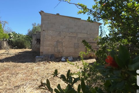 Parcela en venta en Santa Margalida, Mallorca, España 6160 m2 No. 184668 - foto 9