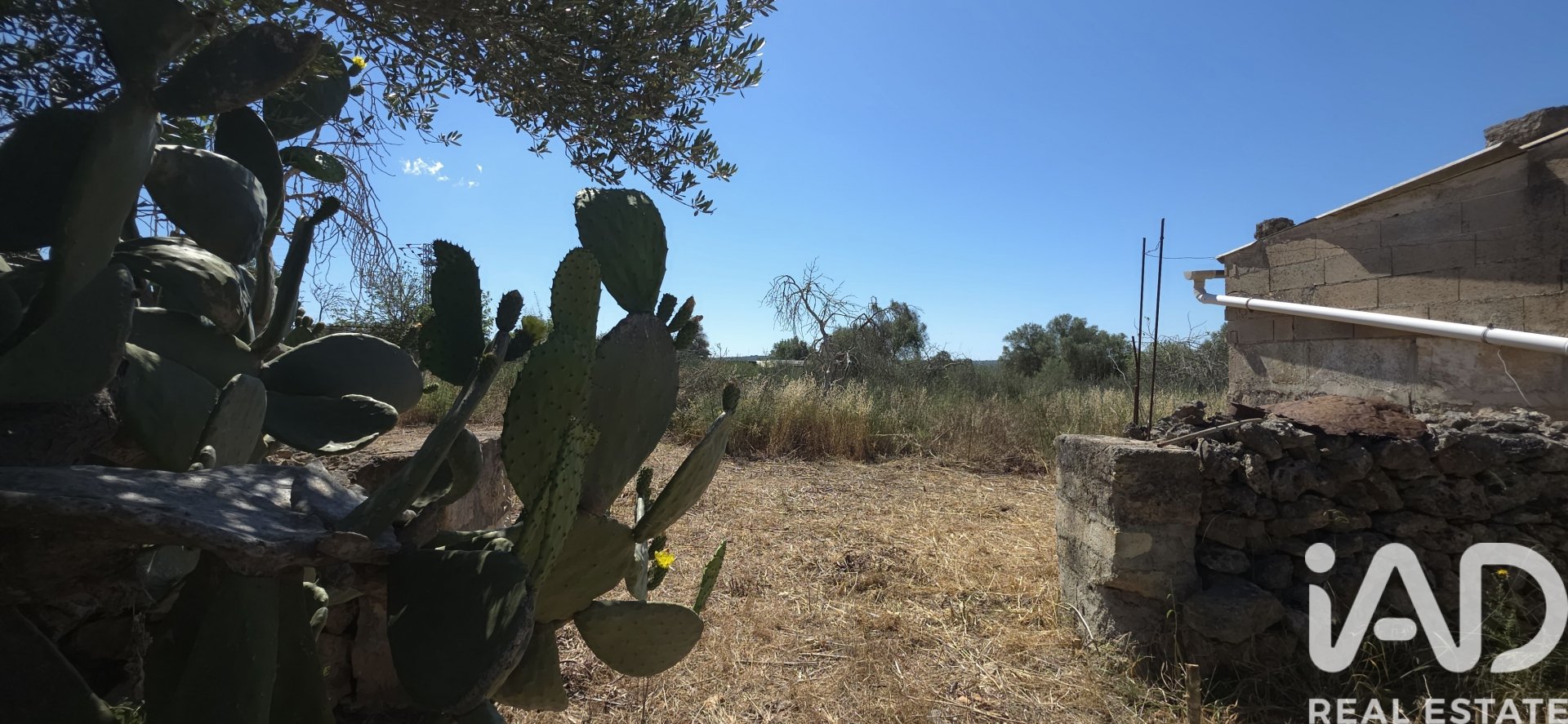 Land plot à Santa Margalida, Mallorca, Espagne 6160 m2 No. 184668