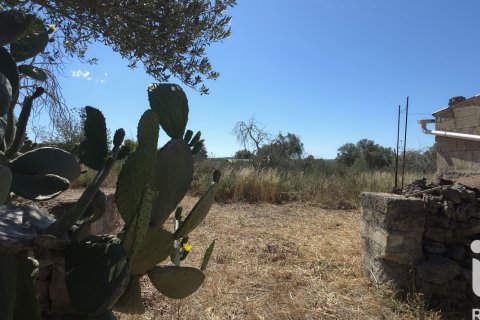 Parcela en venta en Santa Margalida, Mallorca, España 6160 m2 No. 184668 - foto 21