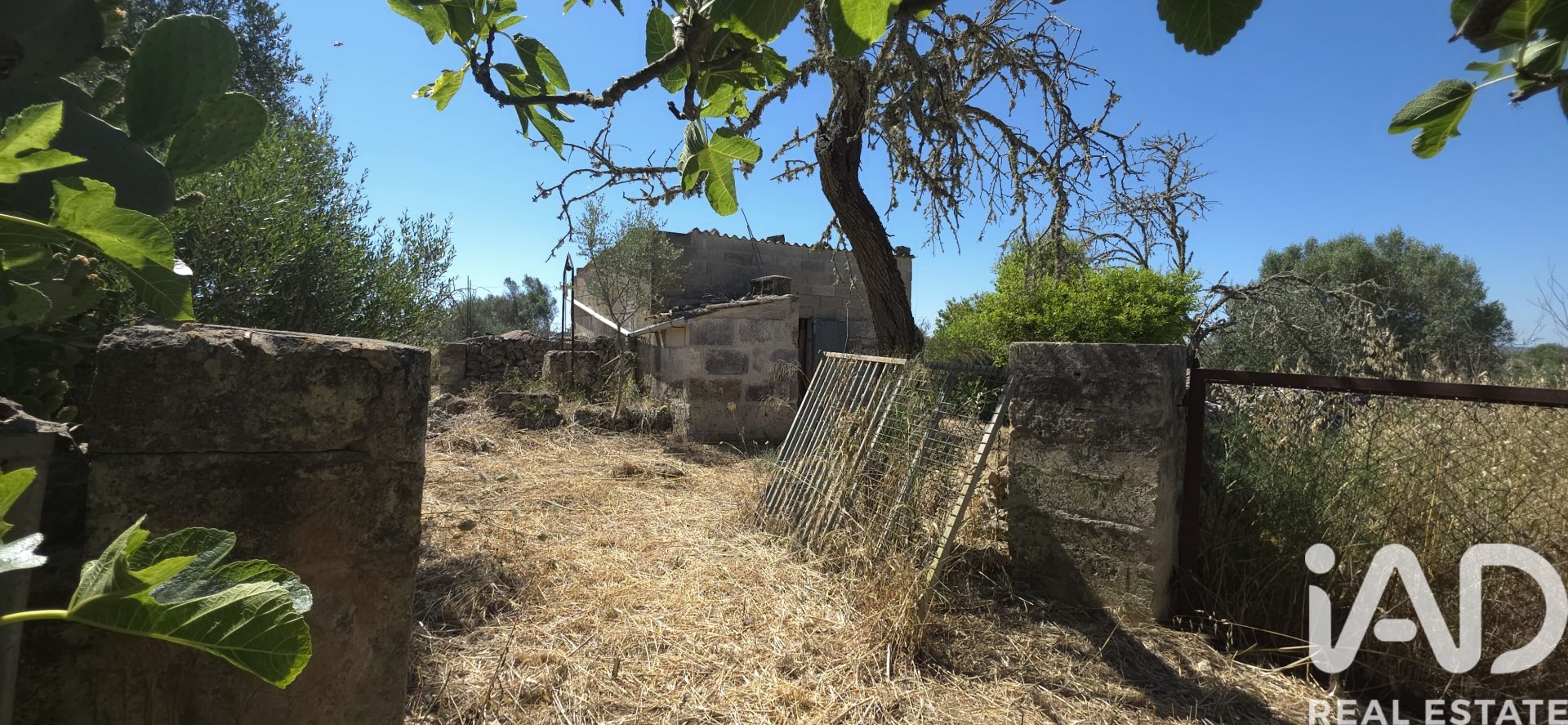 Land plot à Santa Margalida, Mallorca, Espagne 6160 m2 No. 184668
