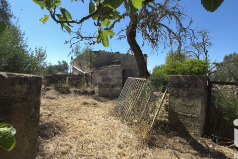 Parcela en venta en Santa Margalida, Mallorca, España 6160 m2 No. 184668 - foto 20