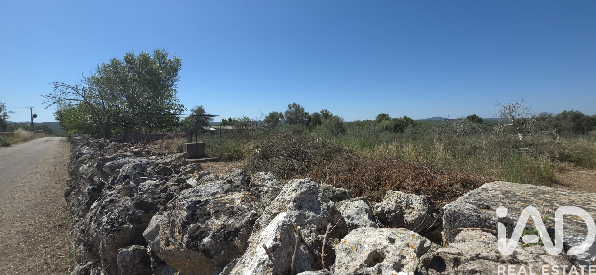Land plot à Santa Margalida, Mallorca, Espagne 6160 m2 No. 184668