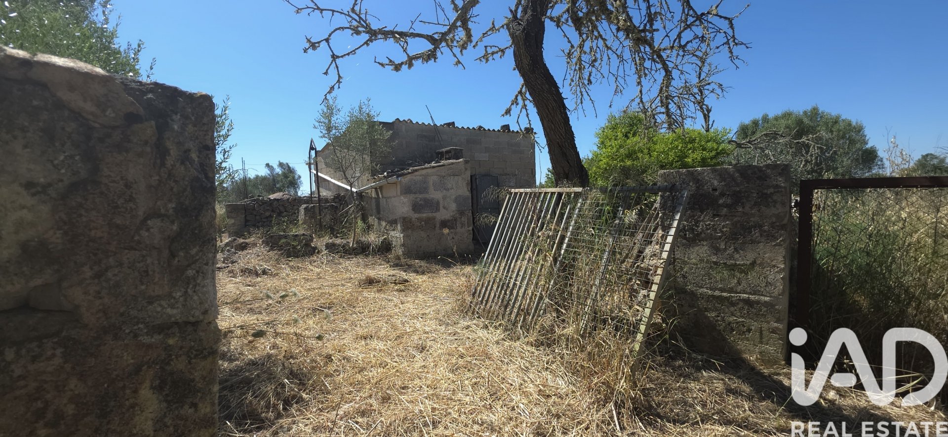 Land plot à Santa Margalida, Mallorca, Espagne 6160 m2 No. 184668