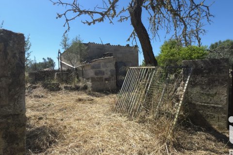 Parcela en venta en Santa Margalida, Mallorca, España 6160 m2 No. 184668 - foto 19