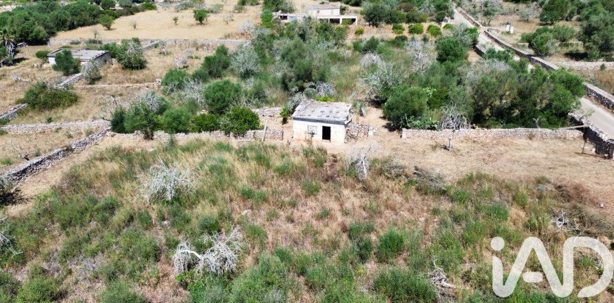 Parcela en Santa Margalida, Mallorca, España 6160 m2 No. 184668